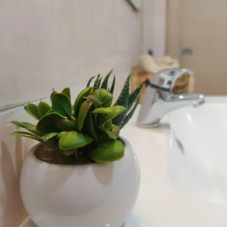 Ross House 아파트 피우미치노