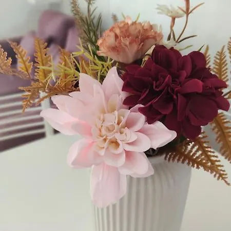 Ross House 아파트 피우미치노