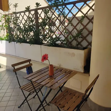 Ross House * 피우미치노